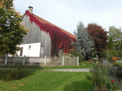 Der wilde Wein im Herbstkleid 2021