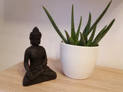 Ferienwohnung für 3 Personen (48 m²) in Wernigerode 3/10