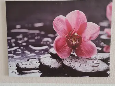 Ferienwohnung für 3 Personen (48 m²) in Wernigerode 10/10