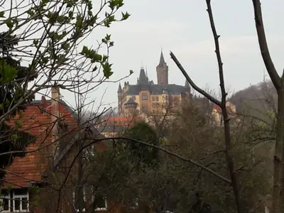 Ferienwohnung für 4 Personen (60 m²) in Wernigerode 4/10