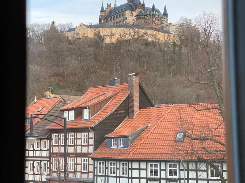 23155735-Ferienwohnung-3-Wernigerode-800x600-0