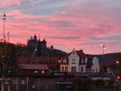 Ferienwohnung für 4 Personen (40 m²) in Wernigerode 7/10