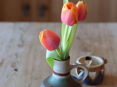 Ferienwohnung für 2 Personen (54 m²) in Wernigerode 10/10