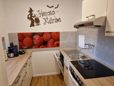 Ferienwohnung für 4 Personen (57 m²) in Wernigerode 5/10