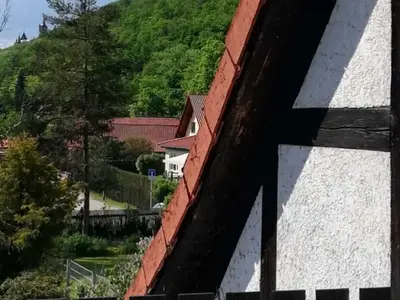 Ferienwohnung für 4 Personen (31 m²) in Wernigerode 3/10