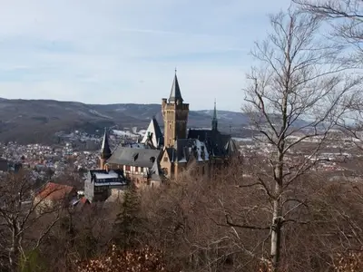 Ferienwohnung für 5 Personen (90 m²) in Wernigerode 7/10