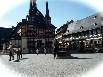 Ferienwohnung für 4 Personen (32 m²) in Wernigerode 3/10