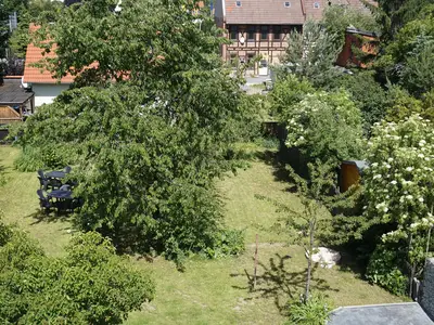 Ferienwohnung für 4 Personen (80 m²) in Wernigerode 5/10