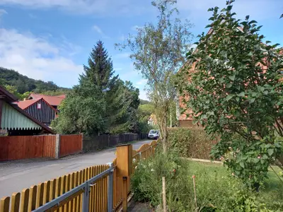 Ferienwohnung für 4 Personen (108 m²) in Wernigerode 3/10