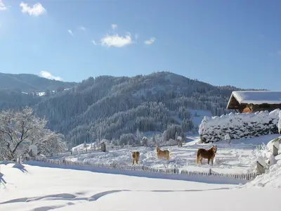 Ferienwohnung für 3 Personen (28 m²) in Wertach 10/10