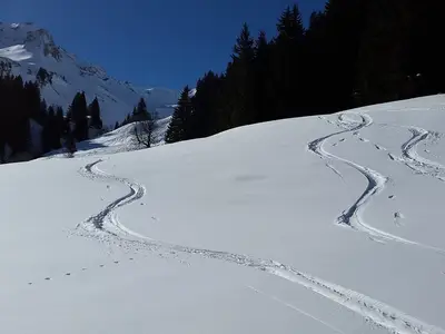 Ferienwohnung für 5 Personen (80 m²) in Wertach 8/10