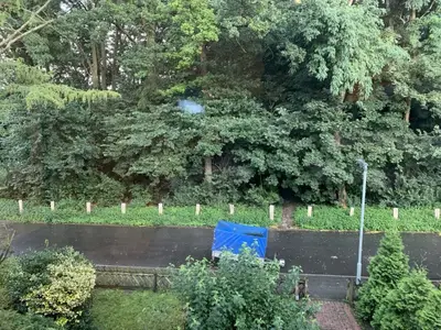 Ferienwohnung für 4 Personen (65 m²) in Wesel 5/10