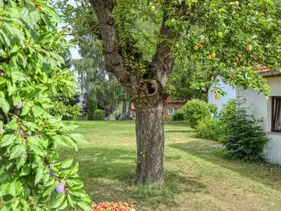 outside