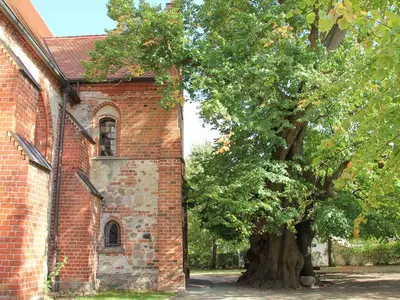 Ferienwohnung für 5 Personen (50 m²) in Wesenberg 6/10