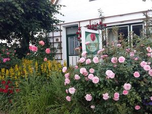 Ferienwohnung für 2 Personen (60 m²) in Wesselburen