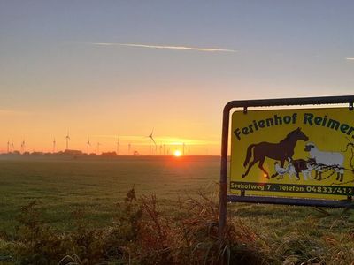 Ferienwohnung für 5 Personen in Wesselburenerkoog 8/10