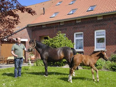 Ferienwohnung für 5 Personen (60 m²) in Westbense 5/10