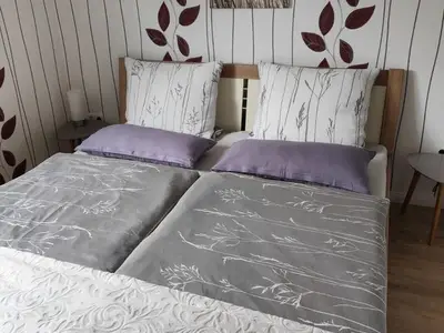 Ferienwohnung für 3 Personen (63 m²) in Westenbrügge 5/10