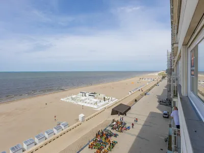 ViewSummer