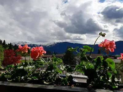 Ferienwohnung für 4 Personen (60 m²) in Westendorf 4/10
