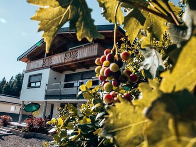 Ferienwohnung für 8 Personen (85 m²) in Westendorf (Tirol) 3/10