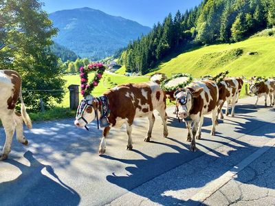 Ferienwohnung für 4 Personen (42 m²) in Westendorf (Tirol) 3/10