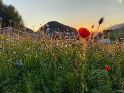 Ferienwohnung für 6 Personen (62 m²) in Westendorf (Tirol) 8/10