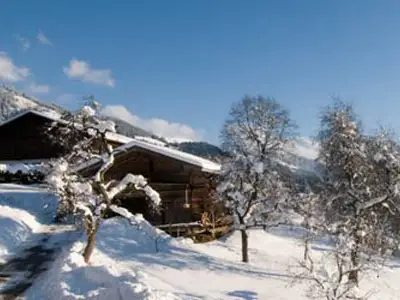 Ferienwohnung für 4 Personen (55 m²) in Westendorf 10/10