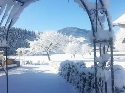 Ferienwohnung für 4 Personen (70 m²) in Westendorf 7/10