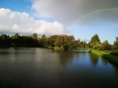 Ferienwohnung für 4 Personen (31 m²) in Wester-Ohrstedt 9/10