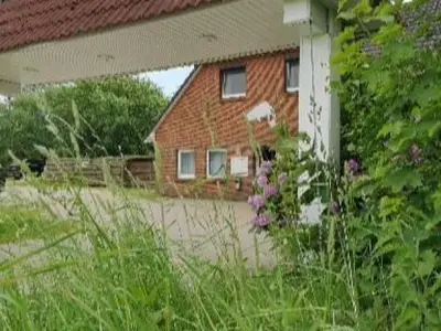 Ferienwohnung für 4 Personen (31 m²) in Wester-Ohrstedt 10/10