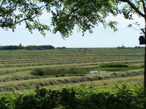 19110296-Ferienwohnung-5-Westerhever-300x225-5