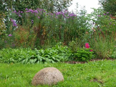 Blick in den Garten