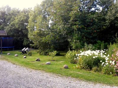 Vorgarten Trampolin Sommer Margeritten