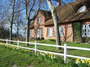 Ferienwohnung für 4 Personen (70 m²) in Westerhever