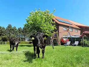 Ferienwohnung für 5 Personen (63 m²) in Westerholt