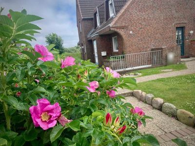 Ferienwohnung für 2 Personen (45 m²) in Westerland (Sylt) 1/10