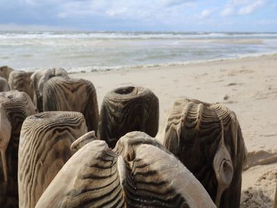 Ferienwohnung für 4 Personen (60 m²) in Westerland (Sylt) 5/10