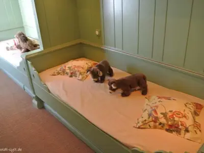 Ferienwohnung für 4 Personen (40 m²) in Westerland (Sylt) 8/9