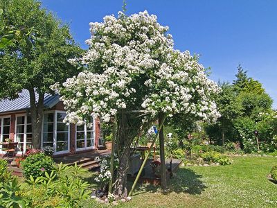 Gartenblick