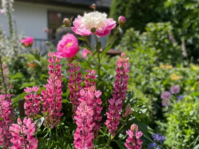 Ferienwohnung für 2 Personen (50 m²) in Westerland (Sylt) 9/10