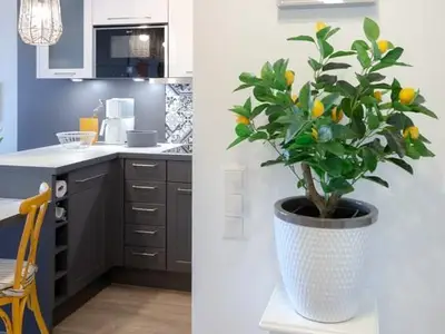 Ferienwohnung für 2 Personen (44 m²) in Westerland (Sylt) 6/10