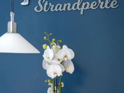 Ferienwohnung für 4 Personen (40 m²) in Westerland (Sylt) 4/10