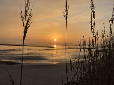 Ferienwohnung für 1 Person (16 m²) in Westerland (Sylt) 2/10