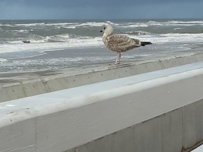 Ferienwohnung für 2 Personen (38 m²) in Westerland (Sylt) 9/9