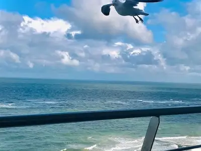 Ferienwohnung für 2 Personen (30 m²) in Sylt-Ost 2/9