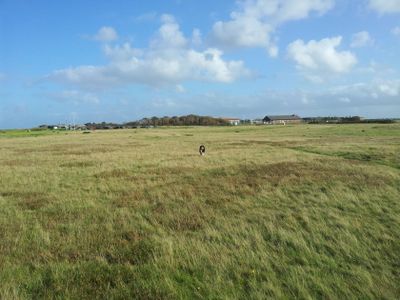 Ferienwohnung für 2 Personen (24 m²) in Westerland (Sylt) 9/10