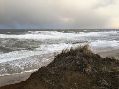 Ferienwohnung für 4 Personen (45 m²) in Westerland (Sylt) 5/10