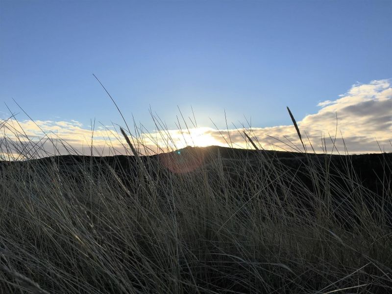 24049451-Ferienwohnung-3-Westerland (Sylt)-800x600-1