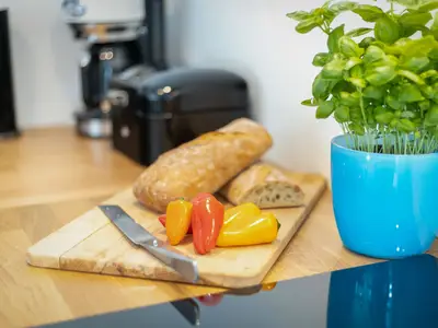 Ferienwohnung für 2 Personen (43 m²) in Westerland (Sylt) 9/10